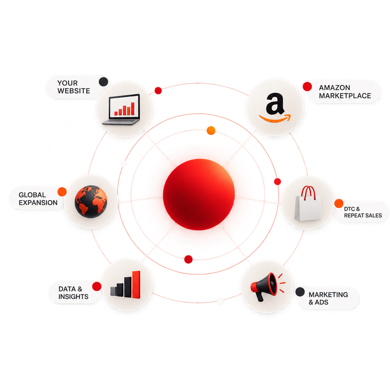 Diagram showing a central hub connected to Amazon Marketplace, a brand's own website, DTC and repeat sales, marketing and ads, data and insights, and global expansion, representing diversified e-commerce channels
